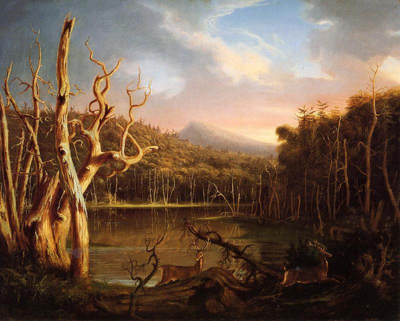 Thomas Cole Lake with Dead Trees oil painting image